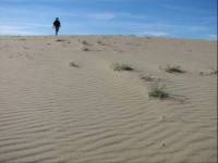 Михаил Бородин — Бродяга