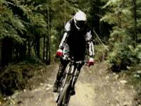 Свободная трасса